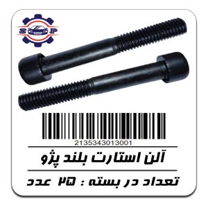 پیچ آلن استارت بلند پژو