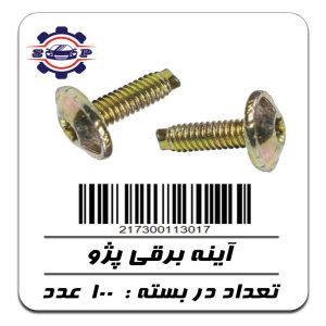 پیچ آینه برقی پژو