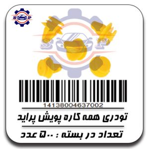 تودری همه کاره پراید - پویش