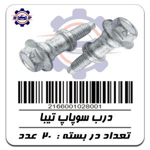 پیچ درب سوپاپ تیبا