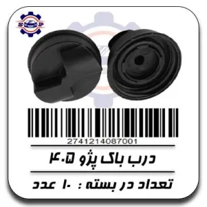 درب باک پژو 405