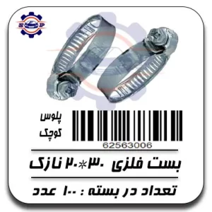 بست پلوس کوچک
