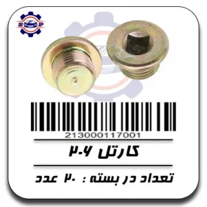 پیچ کارتل 206