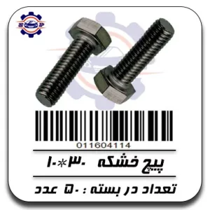 پیچ خشکه 30*10