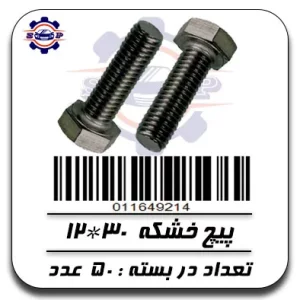 پیچ خشکه 30*12